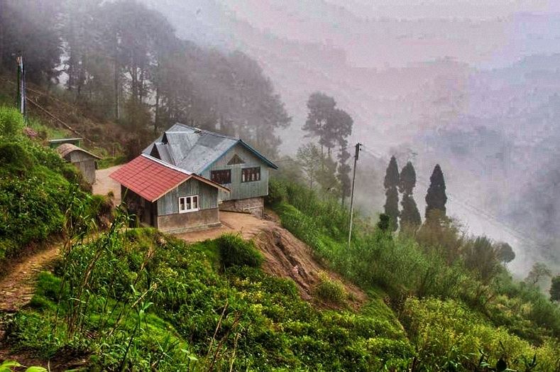 Photo of Set In Orange Orchards, Head To This Sikkimese Village For Secret Trekking Trails by Amrita
