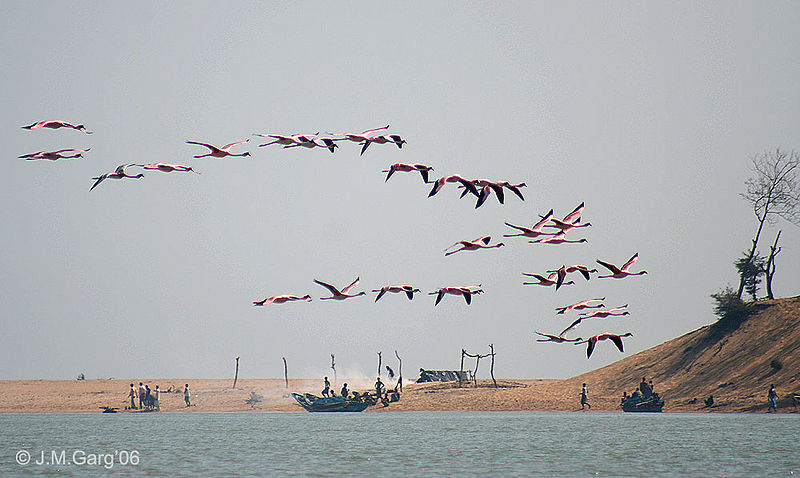 Photo of Nalaban, Odisha, India by Amrita