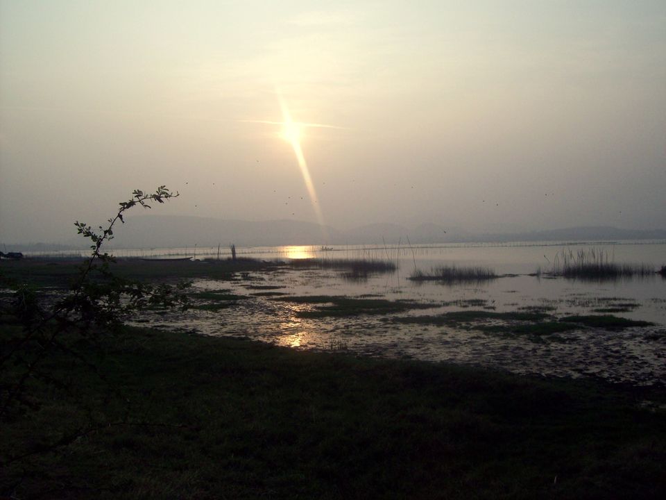 Photo of This offbeat place in Odisha is the place to head for this winter by Amrita