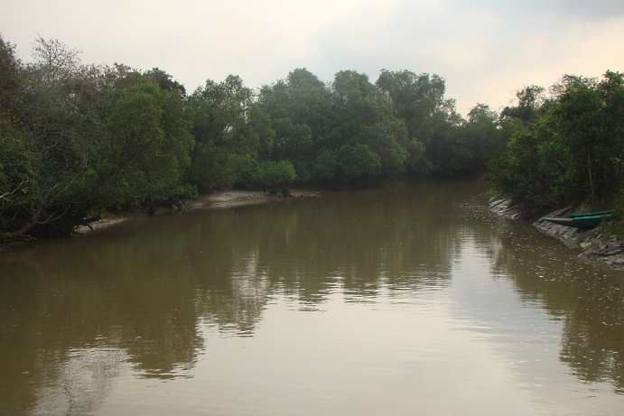 Photo of Chandbali, Odisha, India by Amrita