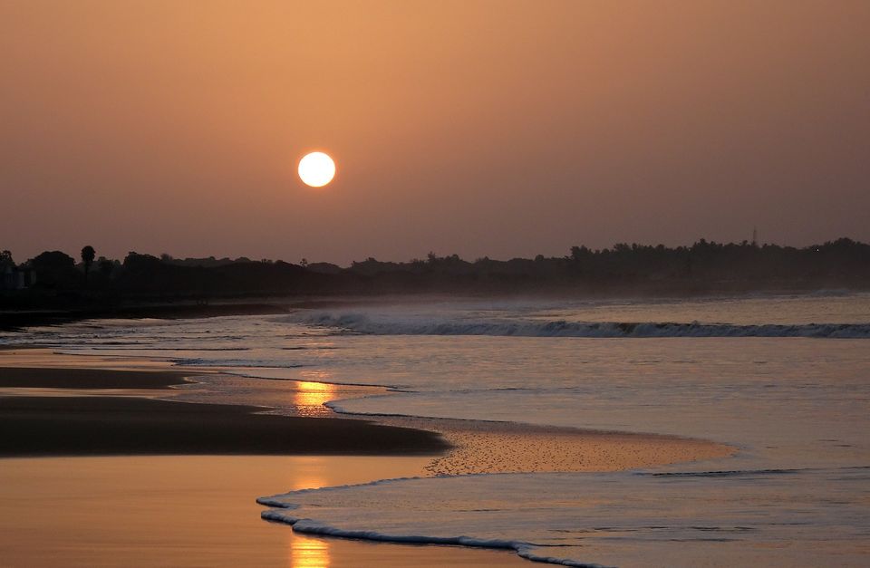 Photo of This river town is the gateway to Bhitarkanika Wildlife Sanctuary by Amrita