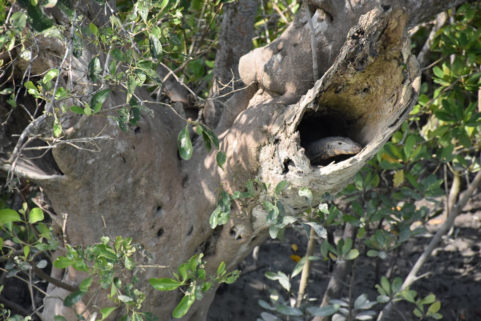 Photo of This gateway to Sunderbans is an ideal weekend destination by Amrita & Agni