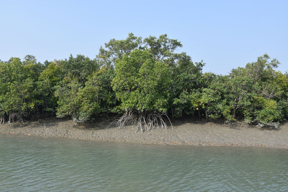 Photo of This gateway to Sunderbans is an ideal weekend destination by Amrita & Agni