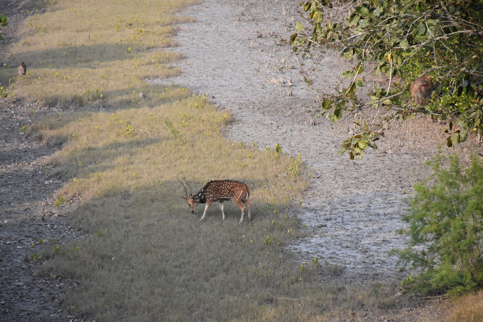 Photo of This gateway to Sunderbans is an ideal weekend destination by Amrita & Agni