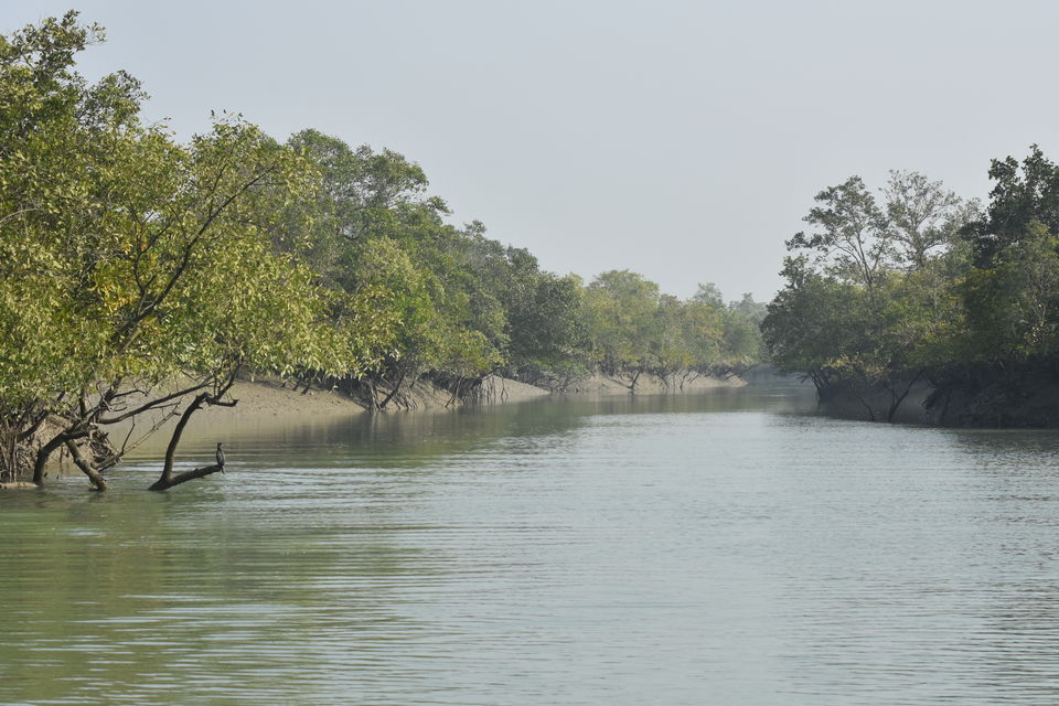 Photo of Jharkhali, Lot No 126, West Bengal, India by Amrita & Agni