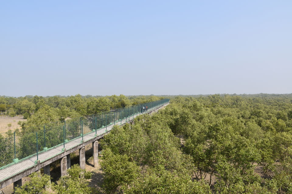 Photo of This gateway to Sunderbans is an ideal weekend destination by Amrita & Agni