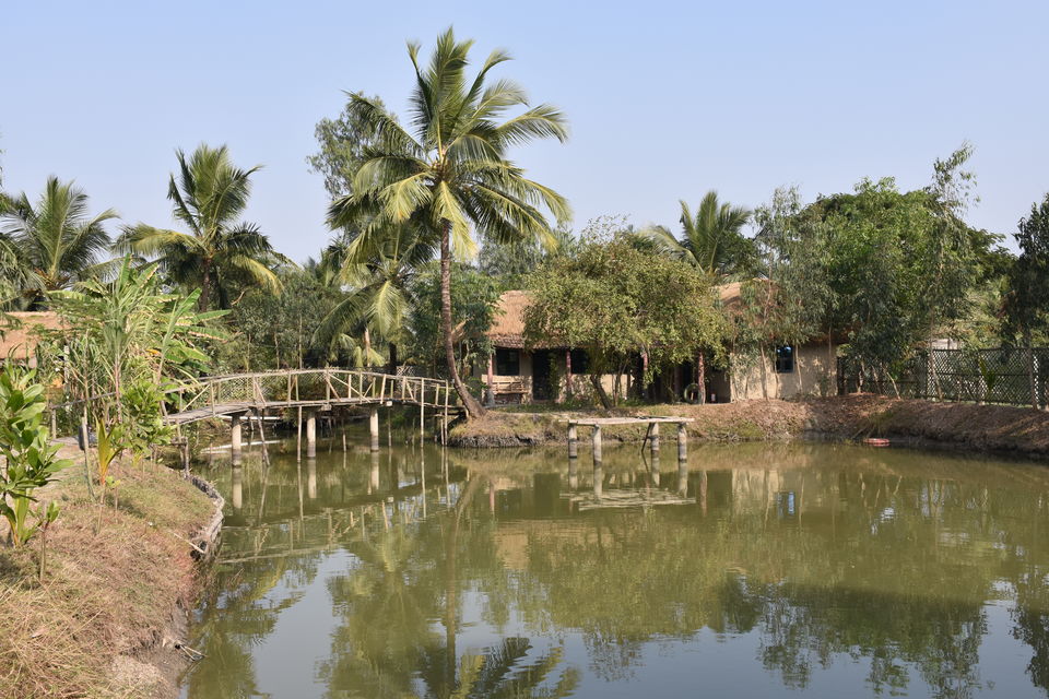Photo of This gateway to Sunderbans is an ideal weekend destination by Amrita & Agni