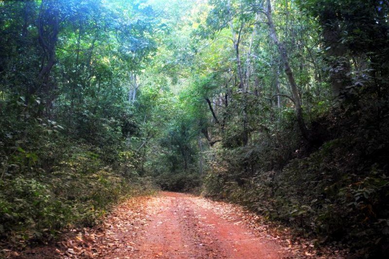 Photo of This monsoons visit the Cherrapunji of Odisha by Amrita