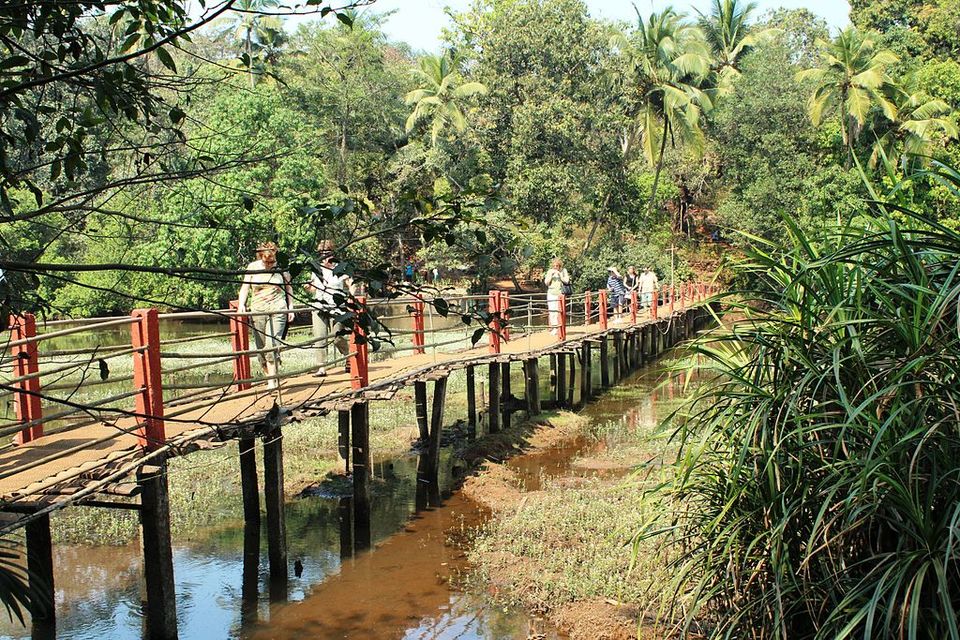 Photo of All you need to know about your Goa family vacation by Amrita