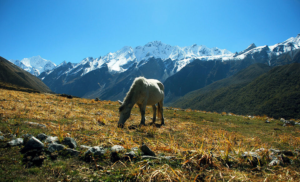 Photo of This easy trek in Nepal will give you the best views of valleys and mountains by Amrita