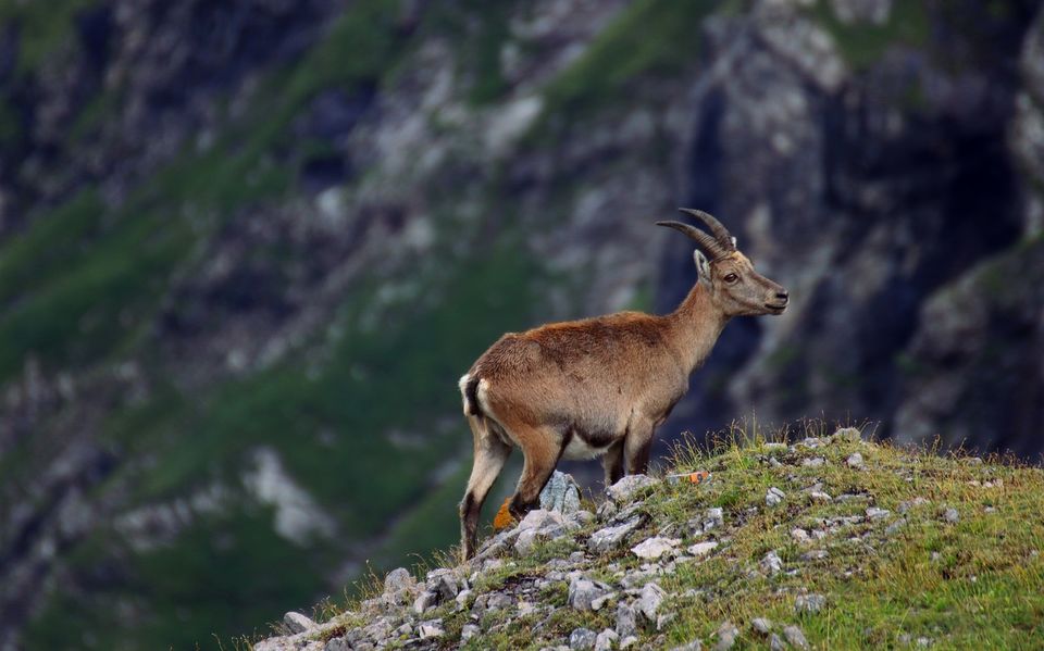 Photo of This Trek In Lahaul Will Take You To The Mountains Of Lord Shiva by Amrita