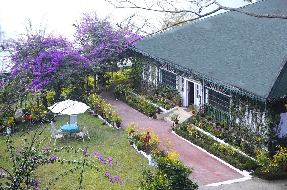 Photo of Darjeeling, West Bengal, India by Amrita