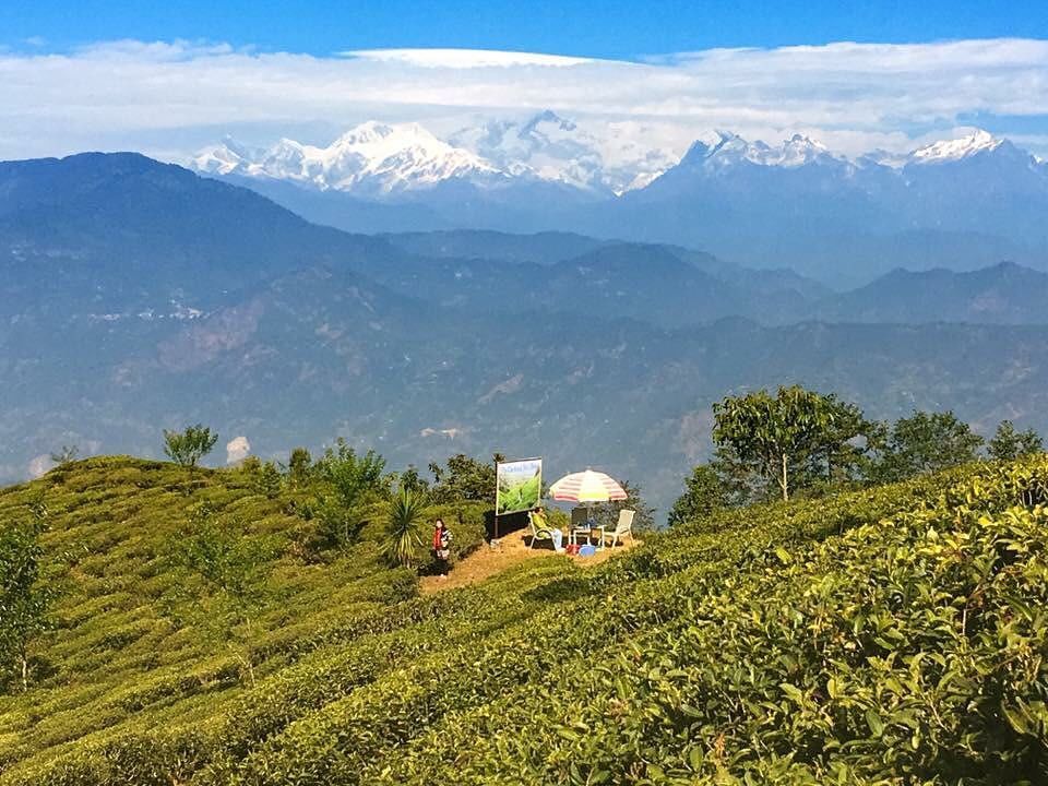 Photo of Enjoy Luxury and Hospitality at India's oldest Tea Estate by Amrita