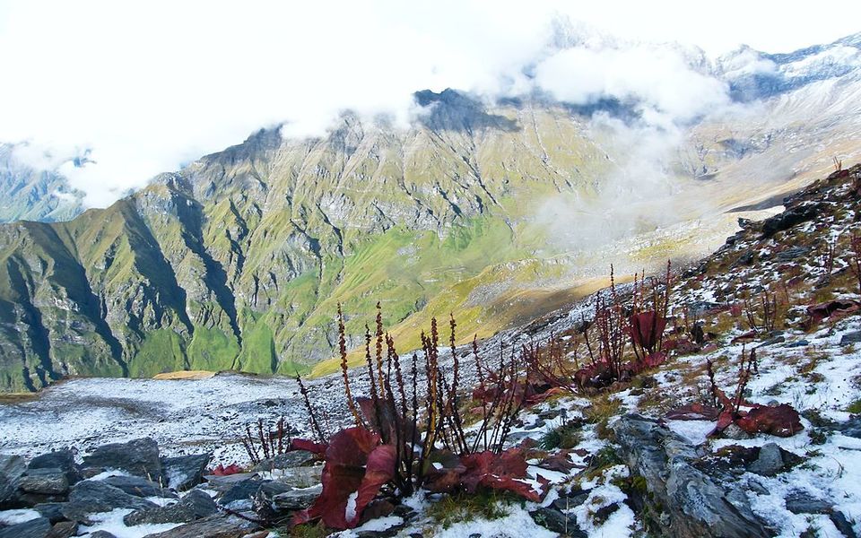 Photo of A week long trek to the second highest peak in India by Amrita