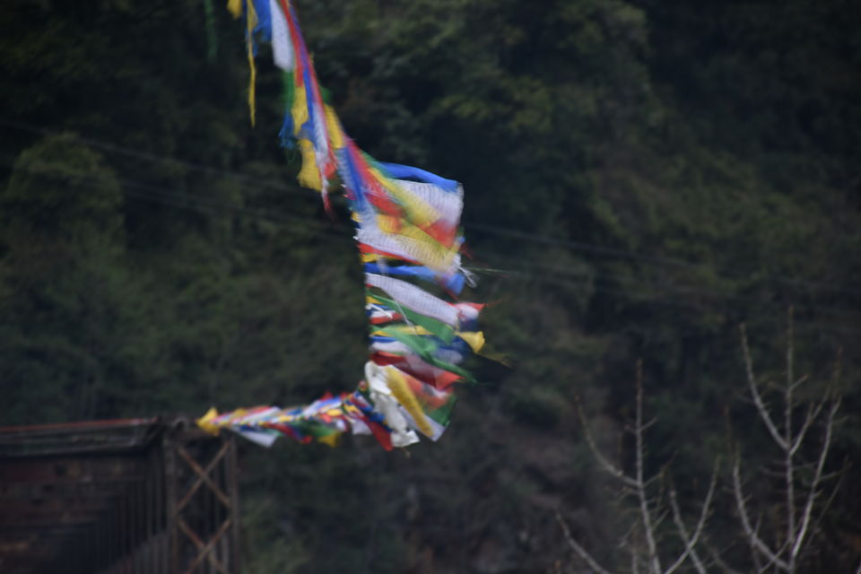 Photo of Gurudongmar Lake, Sikkim by Amrita
