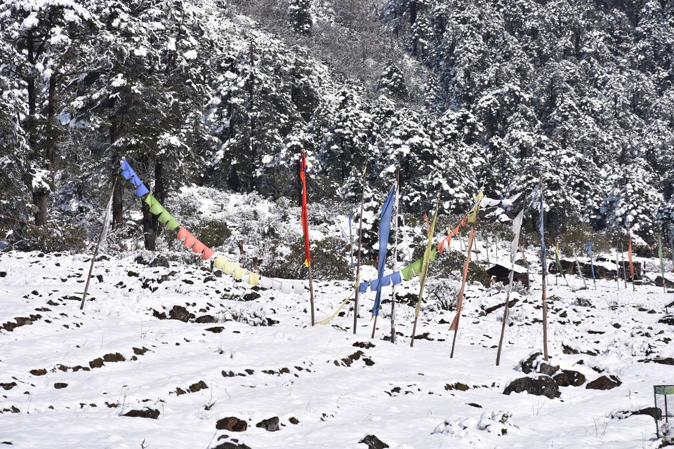 Photo of Yumthang, Sikkim, India by Amrita