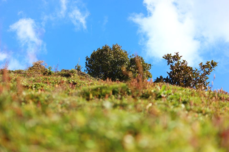 Photo of Miyar Valley, Himachal Pradesh by Amrita