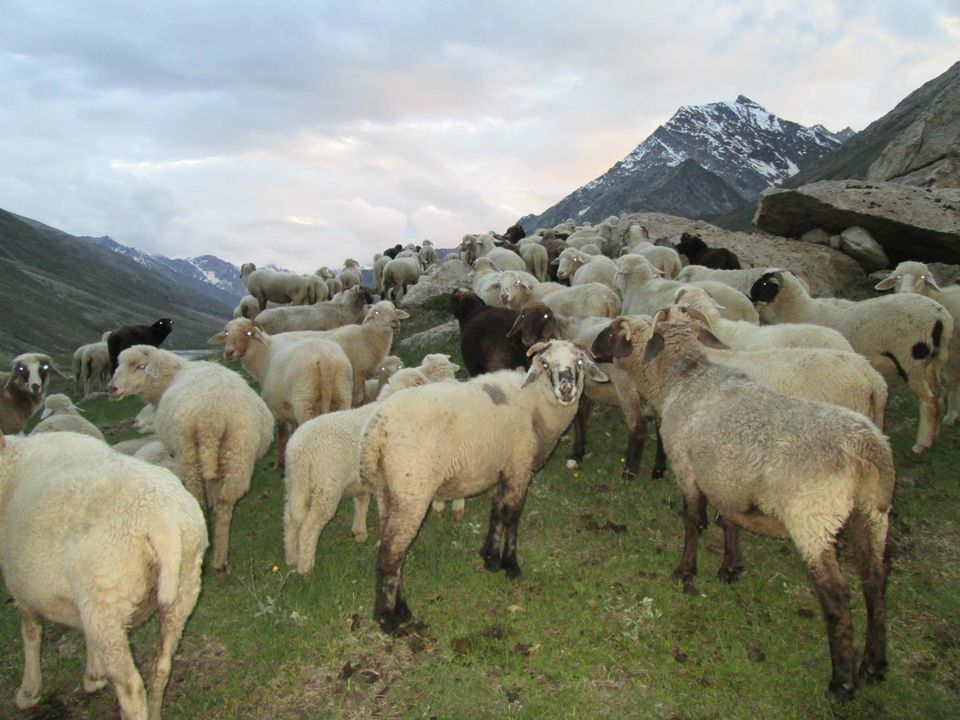 Photo of This moderate trek to 'Yosemite of India' should be in your list by Amrita