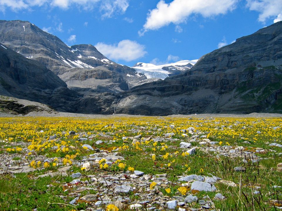 Photo of This moderate trek to 'Yosemite of India' should be in your list by Amrita