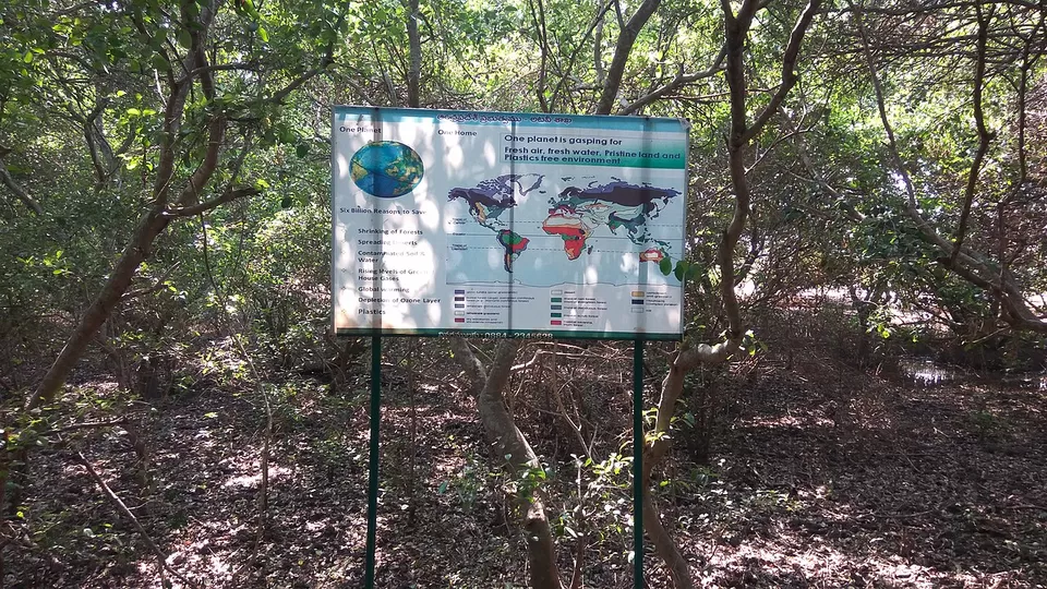 Photo of Coringa Wildlife Sanctuary, Kakinada, Andhra Pradesh, India by Amrita
