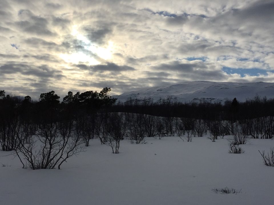Photo of Abisko National Park, Sweden by Amrita