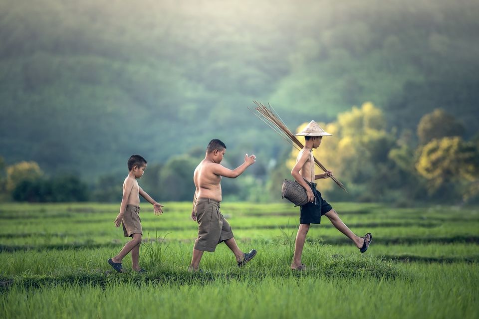 Photo of A Guide to 15 days in Laos by Amrita