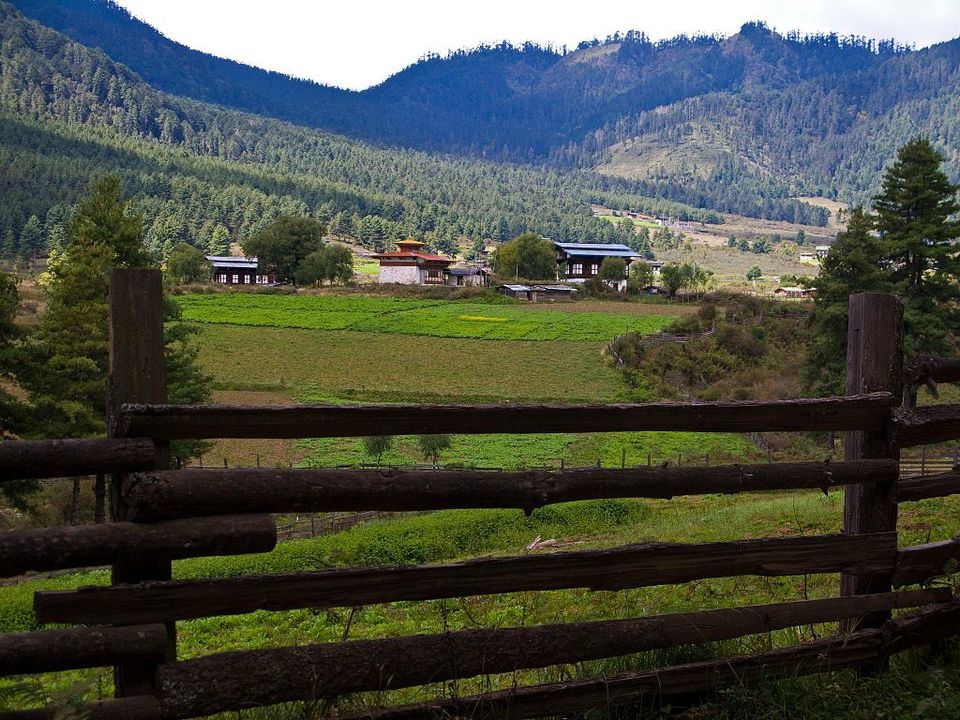 Photo of Phobjikha Valley, Wangdue Phodrang, Bhutan by Amrita
