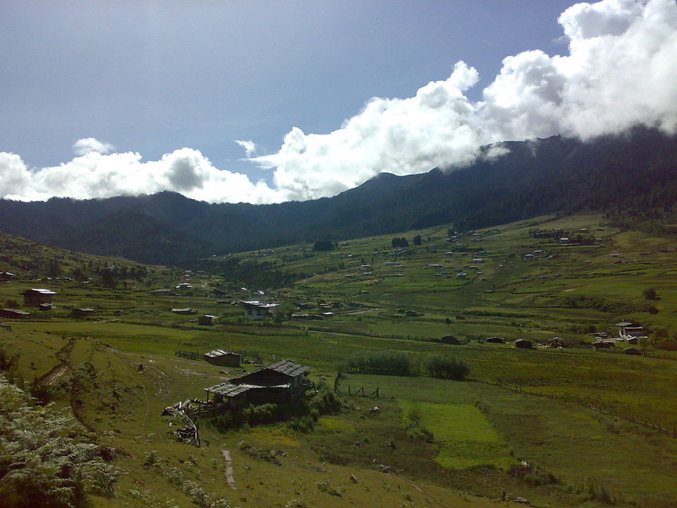 Photo of Get a glimpse of the sacred cranes in one of the happiest countries by Amrita