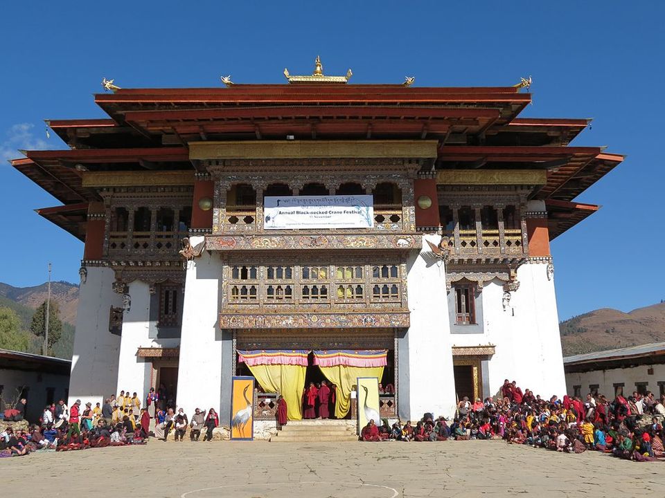 Photo of Get a glimpse of the sacred cranes in one of the happiest countries by Amrita