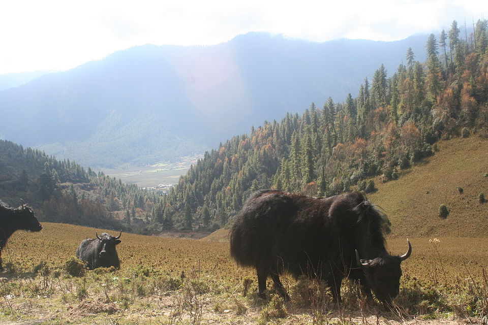 Photo of Kunzang Choling, Bhutan by Amrita