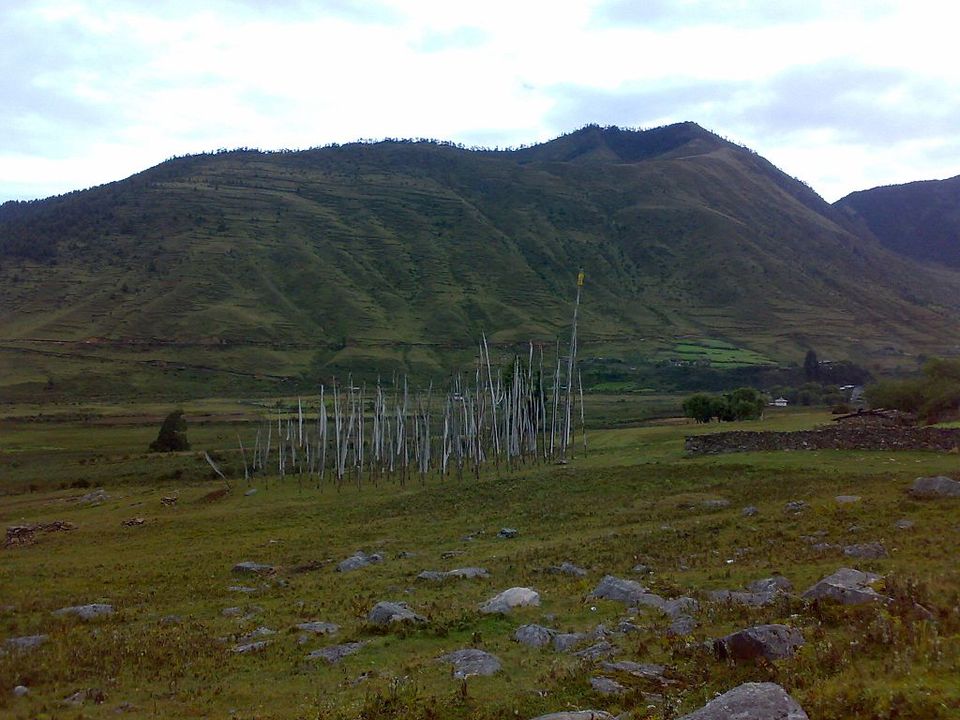 Photo of Get a glimpse of the sacred cranes in one of the happiest countries by Amrita