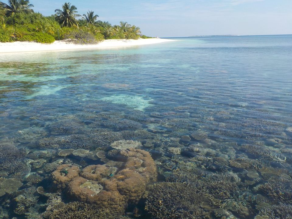 Photo of A DIY 7 days Itinerary to Maldives by Amrita