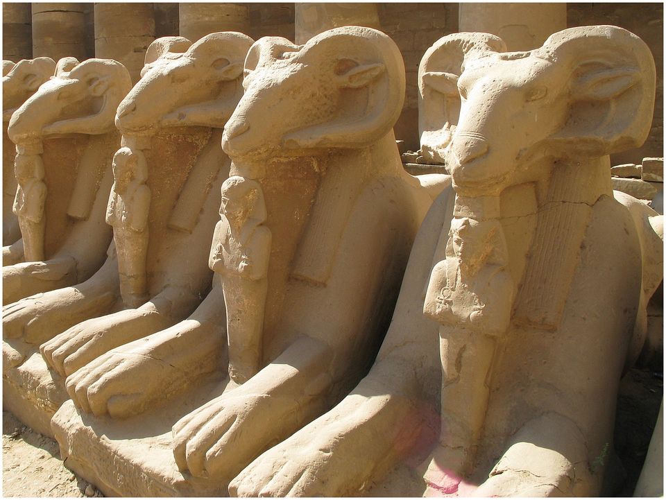 Photo of A classic itinerary for spending 5 days in Egypt 1/2 by Amrita