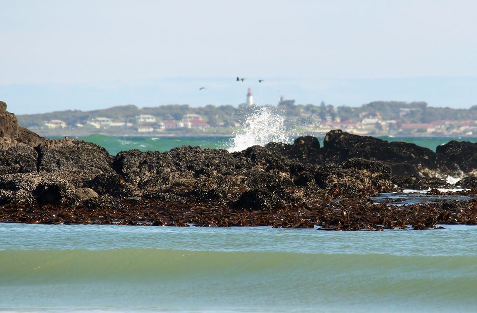 Photo of 48 hours in Cape Town: Here what you should do by Amrita (Tale of 2 Backpackers)