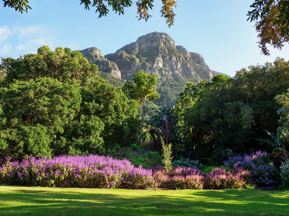Photo of 48 hours in Cape Town: Here what you should do by Amrita (Tale of 2 Backpackers)