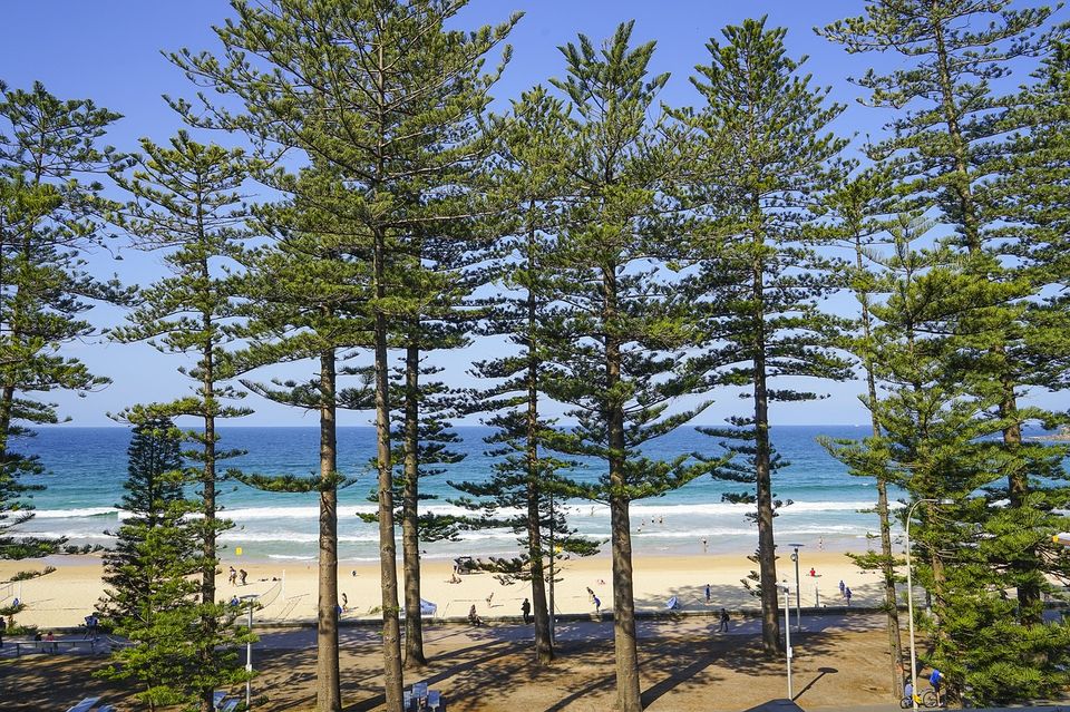 Photo of 48 Hours in Sydney: Here's what you need to do by Amrita