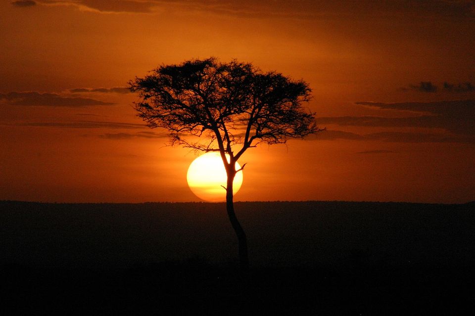 Photo of Wildlife in mind? Follow this itinerary for an ultimate wildlife trip in Kenya by Amrita