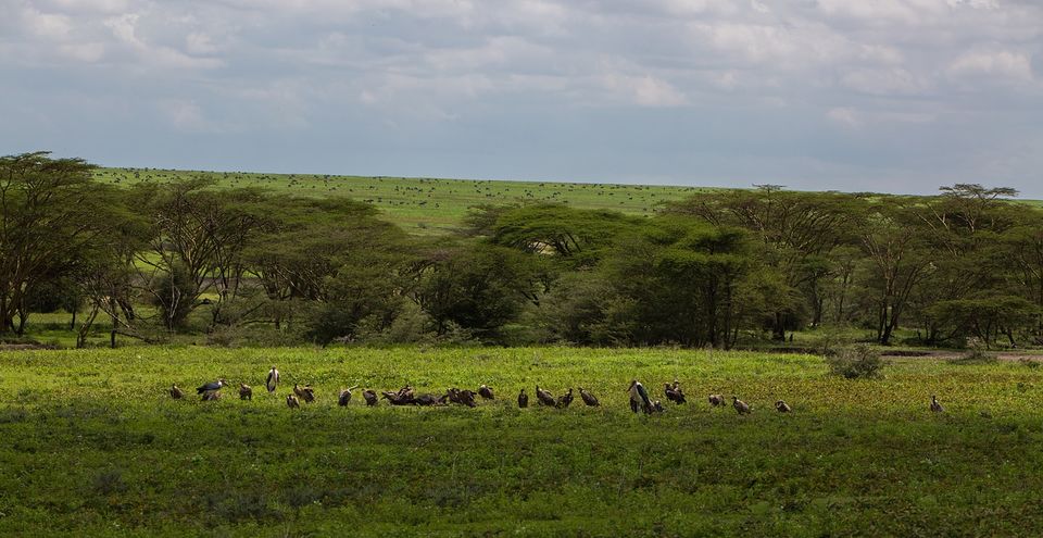 Photo of This Volcanic Crater, Home To 25,000 Animals, Is A Treat For Wildlife Lovers by Amrita