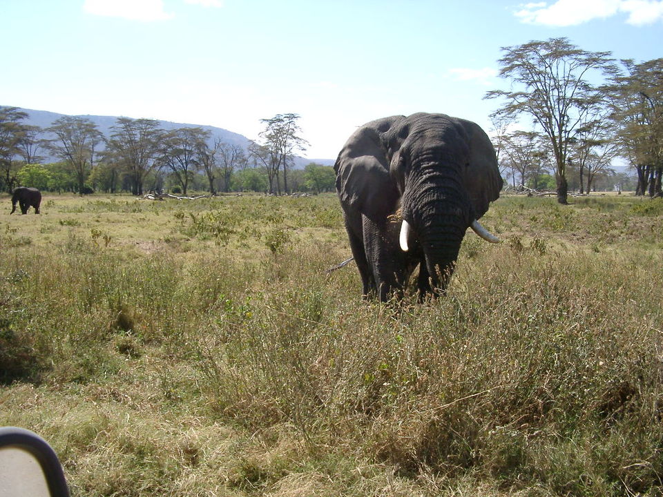 Photo of This Volcanic Crater, Home To 25,000 Animals, Is A Treat For Wildlife Lovers by Amrita