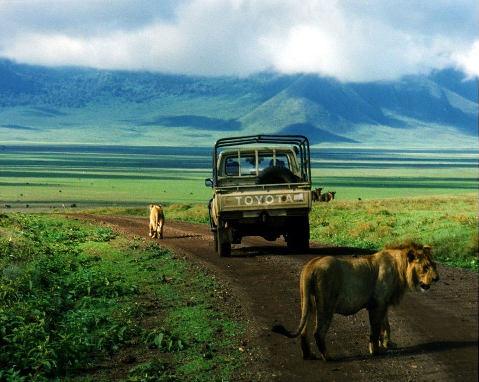 Photo of This Volcanic Crater, Home To 25,000 Animals, Is A Treat For Wildlife Lovers by Amrita