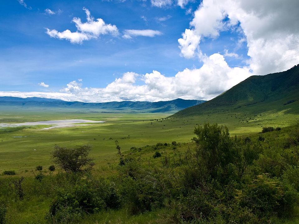 Photo of This Volcanic Crater, Home To 25,000 Animals, Is A Treat For Wildlife Lovers by Amrita