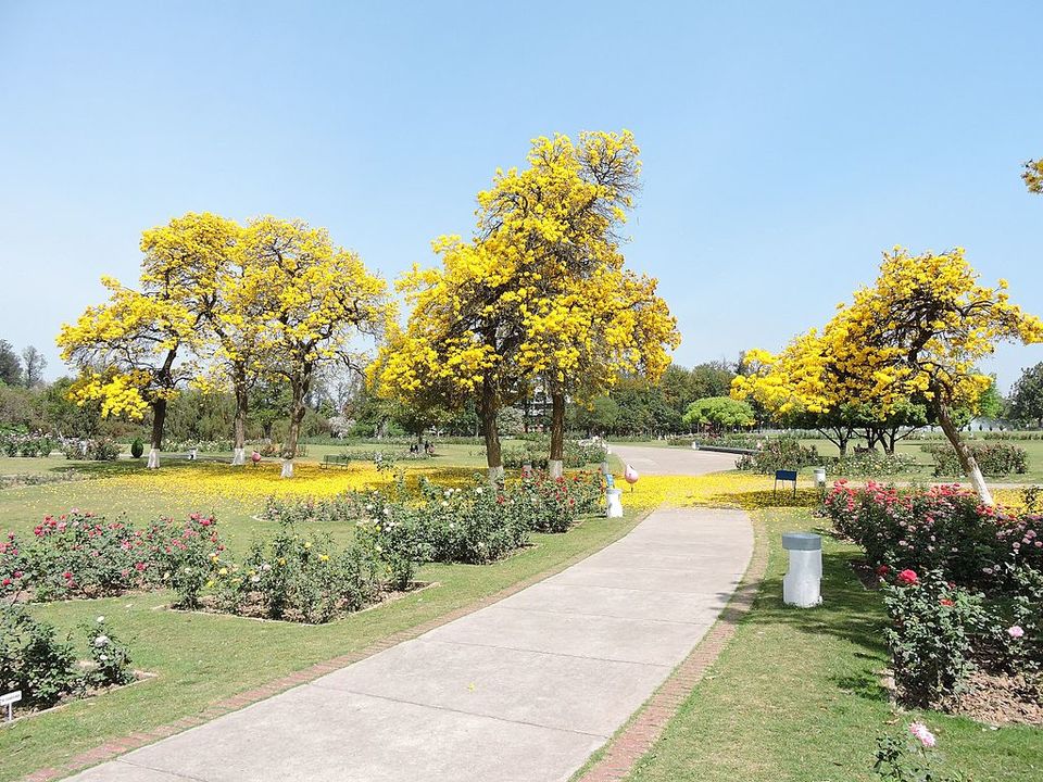 Photo of Rose Garden (Chandigarh), Jan Marg, 16B, Sector 16, Chandigarh, India by Amrita & Agni