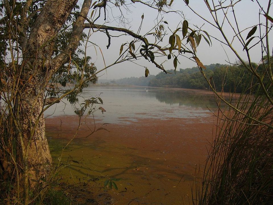Photo of Winters coming - This is how you should spend 5 days in Uttar Pradesh by Amrita