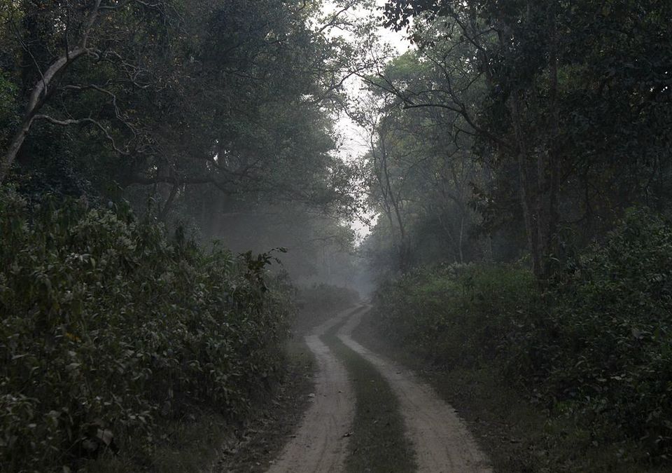 Photo of Winters coming - This is how you should spend 5 days in Uttar Pradesh by Amrita