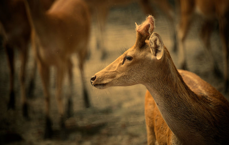 Photo of Winters coming - This is how you should spend 5 days in Uttar Pradesh by Amrita