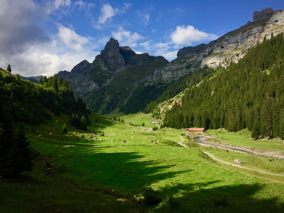 Photo of Aru Valley, Pahalgam by Amrita