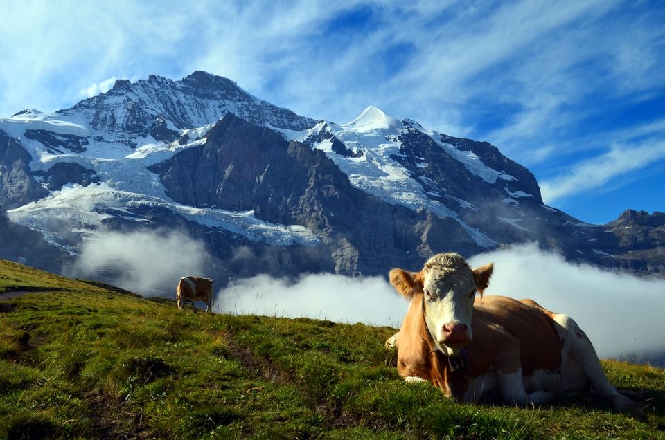 Photo of This stunningly beautiful trail is one of the most epic hikes in the Swiss Alps by Amrita