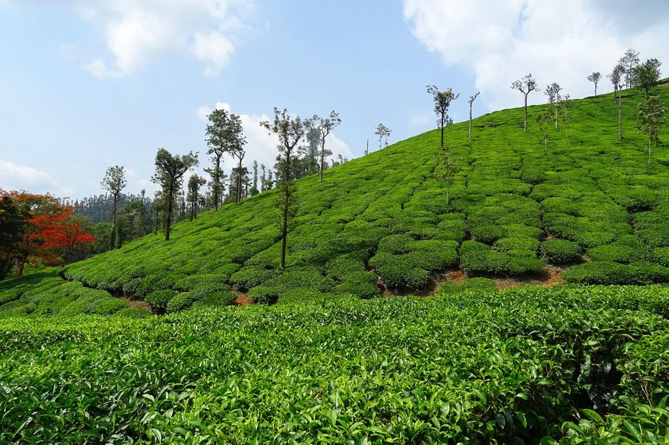Photo of Jampui Hills Road, Purba Hmunpui, Tripura, India by Amrita