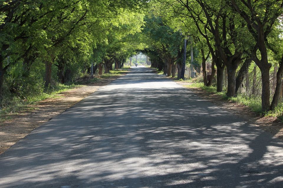 Photo of This serene destination is undoubtedly one of best places to be in this winter by Amrita