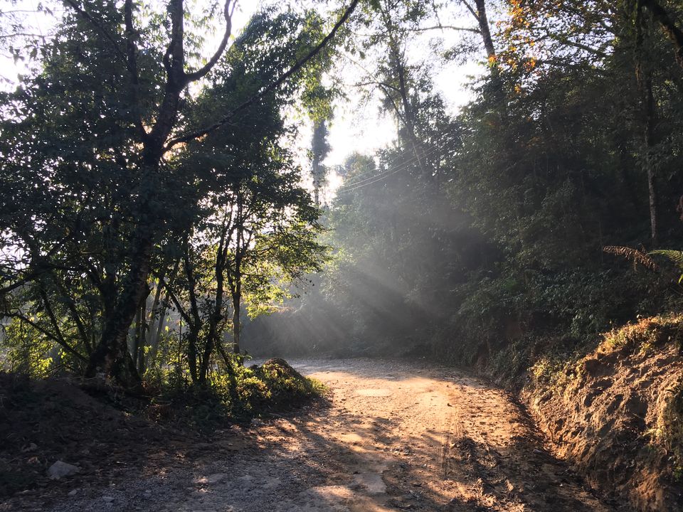 Photo of Yangang, Sikkim, India by Amrita